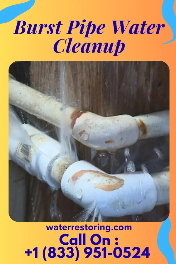 Burst Pipe Water Cleanup in South Pittsburg, TN