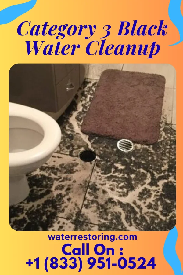Category 3 Black Water Cleanup in South Pittsburg, TN