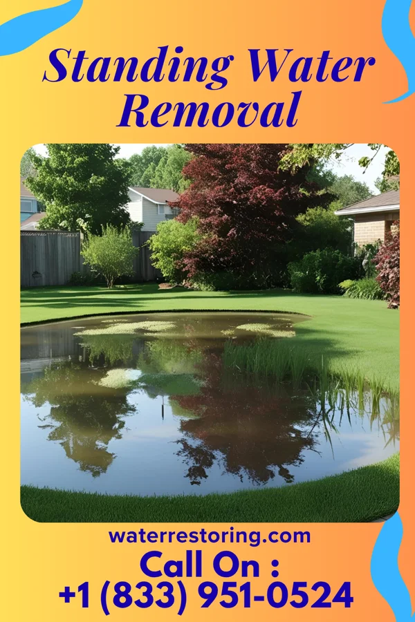 Standing Water Removal in South Pittsburg, TN